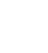 Wild Weddings